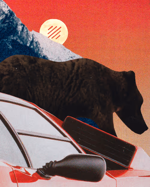 Item #1698945501044000005 Media