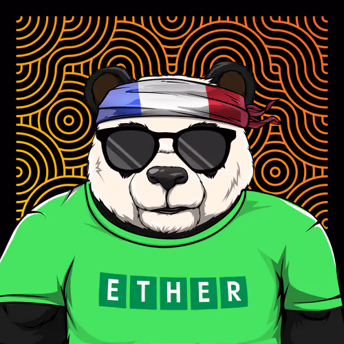 n13voxel.eth Ethereum Name Service (ENS and .eth domain) PFP