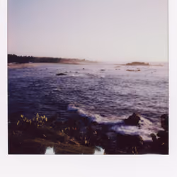 Vitamin Sea