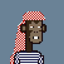 The Saudi Ape Club #1042