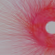 98
