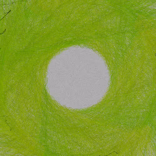 Nests #42