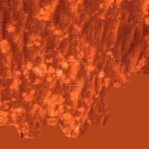 Item #7745182618460112 Media