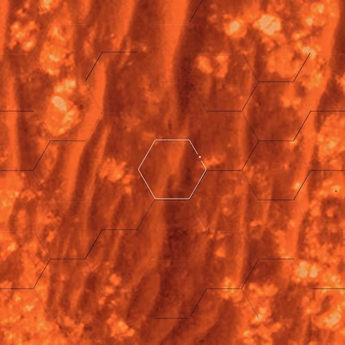 B3339