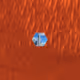 7745910418473518