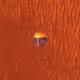 7745033718471616