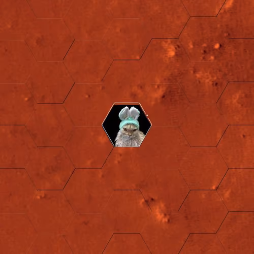 W1629