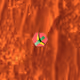 7745166018462014