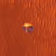7745033718471435