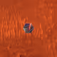 7743842718471435