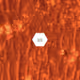 7744901418460384