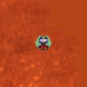 7745778118479497