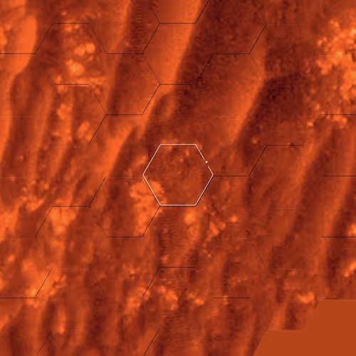 Item #7745529918462558 Media