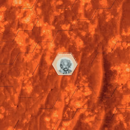 Item #7745033718463282 Media