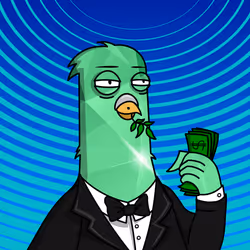 Pigeon #208