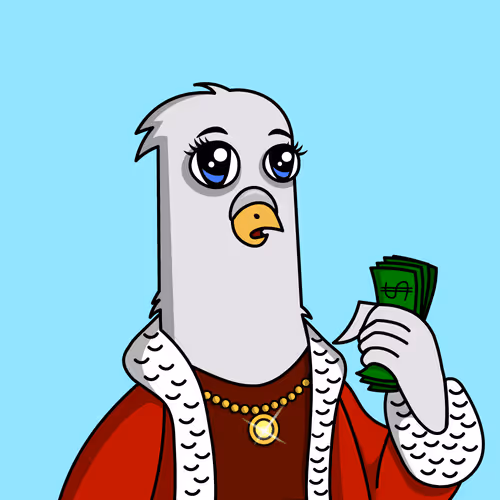 Pigeon #77
