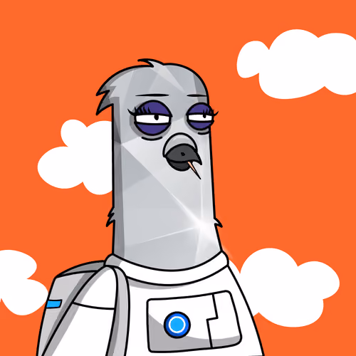 Pigeon #247