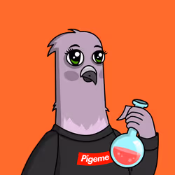 Pigeon #68