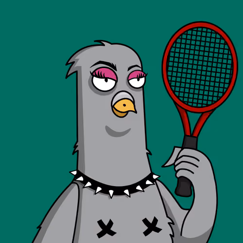 Pigeon #79