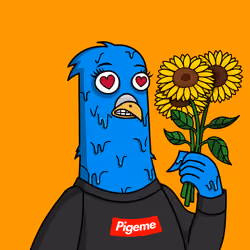 Pigeon #76