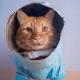 347