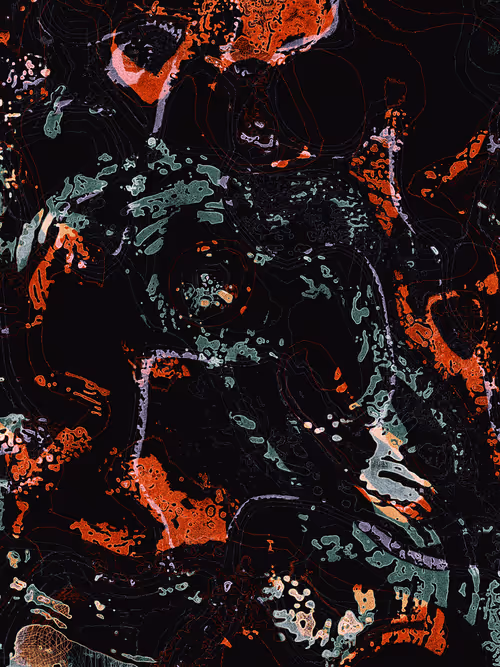 Item #2295008339 Media