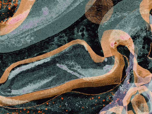 Item #604229066 Media