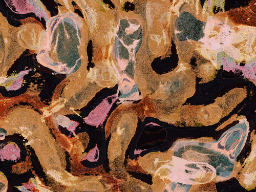 Item #77023521 Media