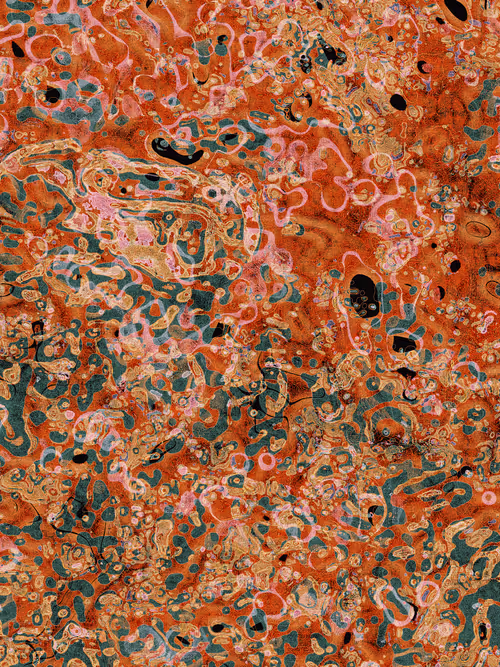 Item #458424200 Media