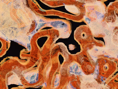 Item #226437037 Media