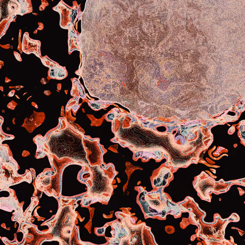 Mimizu Untitled