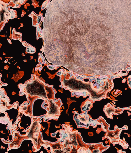 Item #1183302351 Media