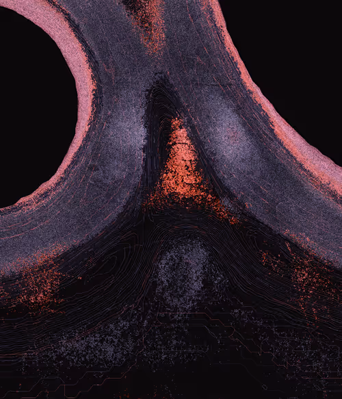 Item #1791486956 Media