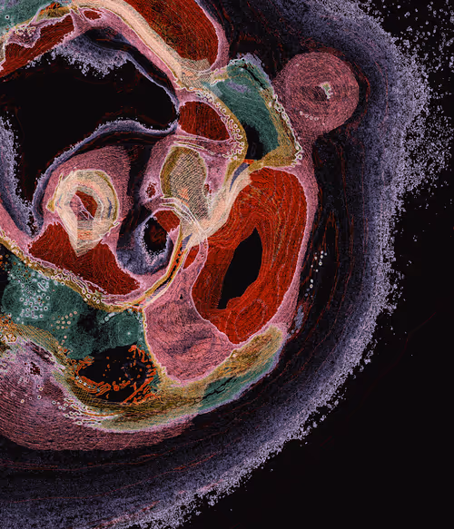 Item #856485846 Media