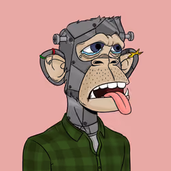Great Ape #7240