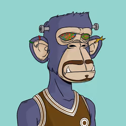 Great Ape #2748