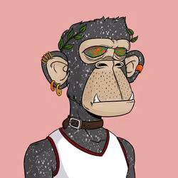 Great Ape #2261