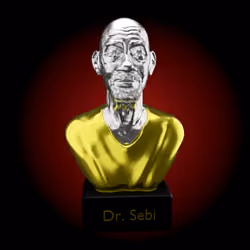 Dr. Sebi #7
