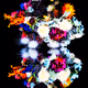 braincellsinapetridish V2