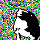 223