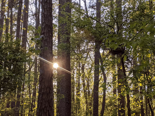 Item #59367522145025134796844632615293062636 Media