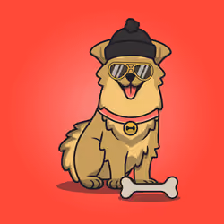 Fetch #81