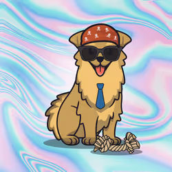 Fetch #80