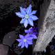 1xtest7