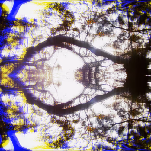 From The Surreal Psyche