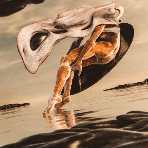 Top 3 Bidders Edition