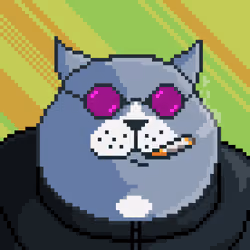 Fat Cat #712