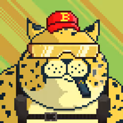 Fat Cat #809