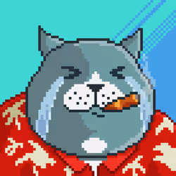 Fat Cat #770