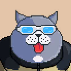Fat Cat #206